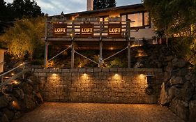 LOFT Ferienhaus Fischer